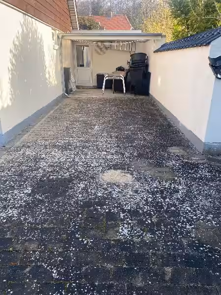 Flisepest Rens: En Guide til en Ren og Smuk Terrasse